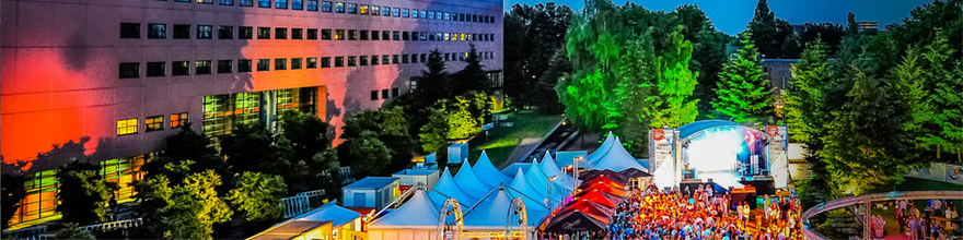 Hap Stap Festival Tilburg June 2017