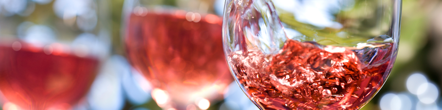 Dare Wines Spring Tasting Sunday April 23, 2017