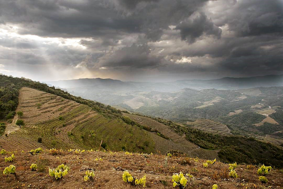 Nin-Ortiz, Priorat, Spanje