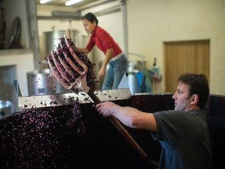 Chantereves, Savigny les Beaune, Bourgogne, Frankrijk
