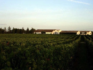 Bodegas Christo de la Vega, Despierta, La Mancha, Spanje