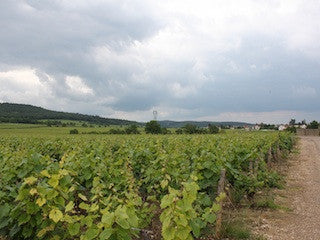 Grand Ormeau, Pomerol, Frankrijk