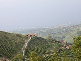 Azienda Abbona, Langhe, Piëmonte, Italië