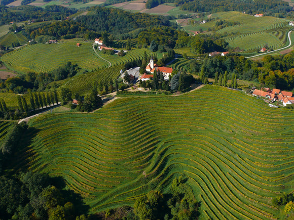Slovenië; Vernieuwend & Gastronomisch
