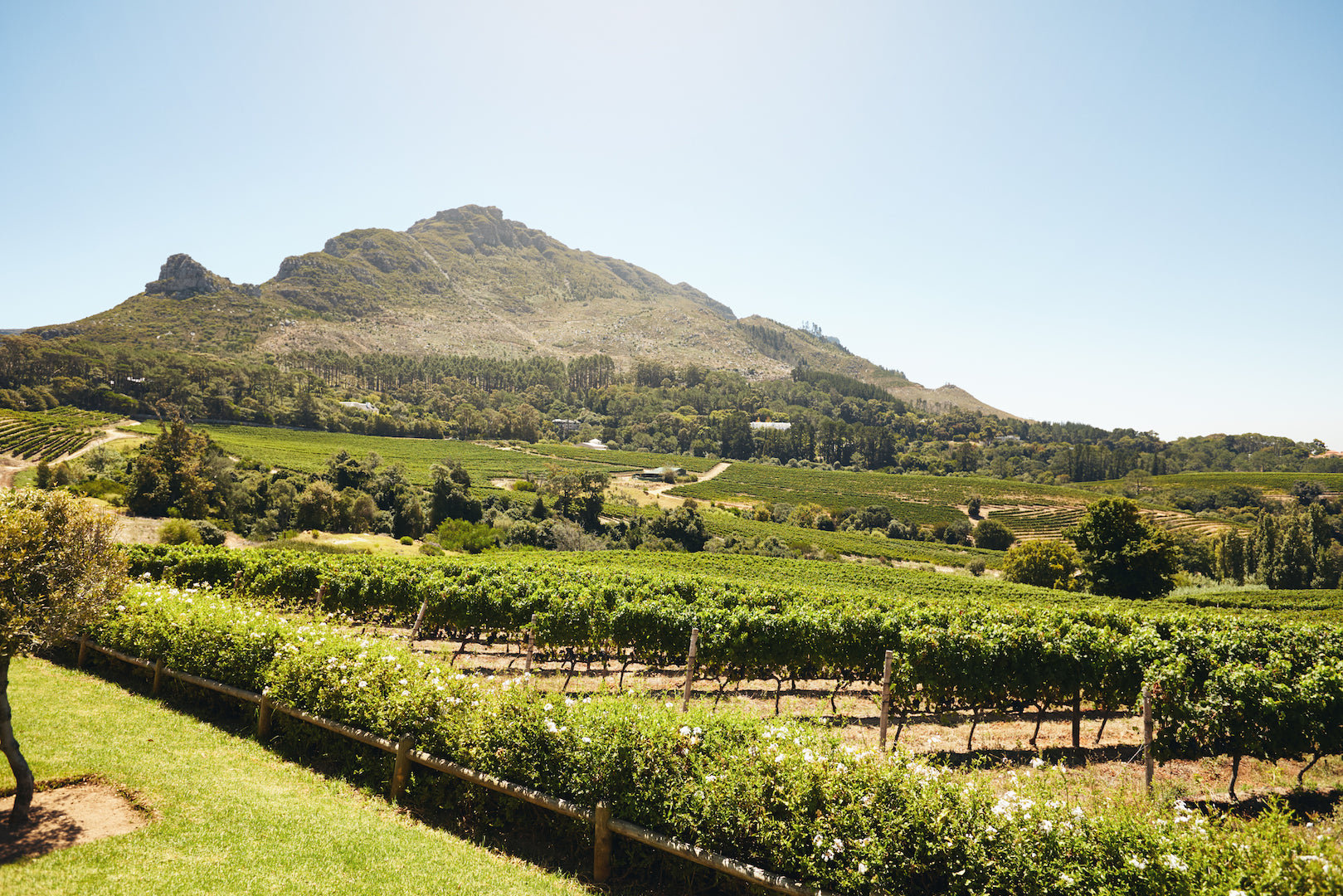 Constantia Glen, Constantia, Zuid-Afrika