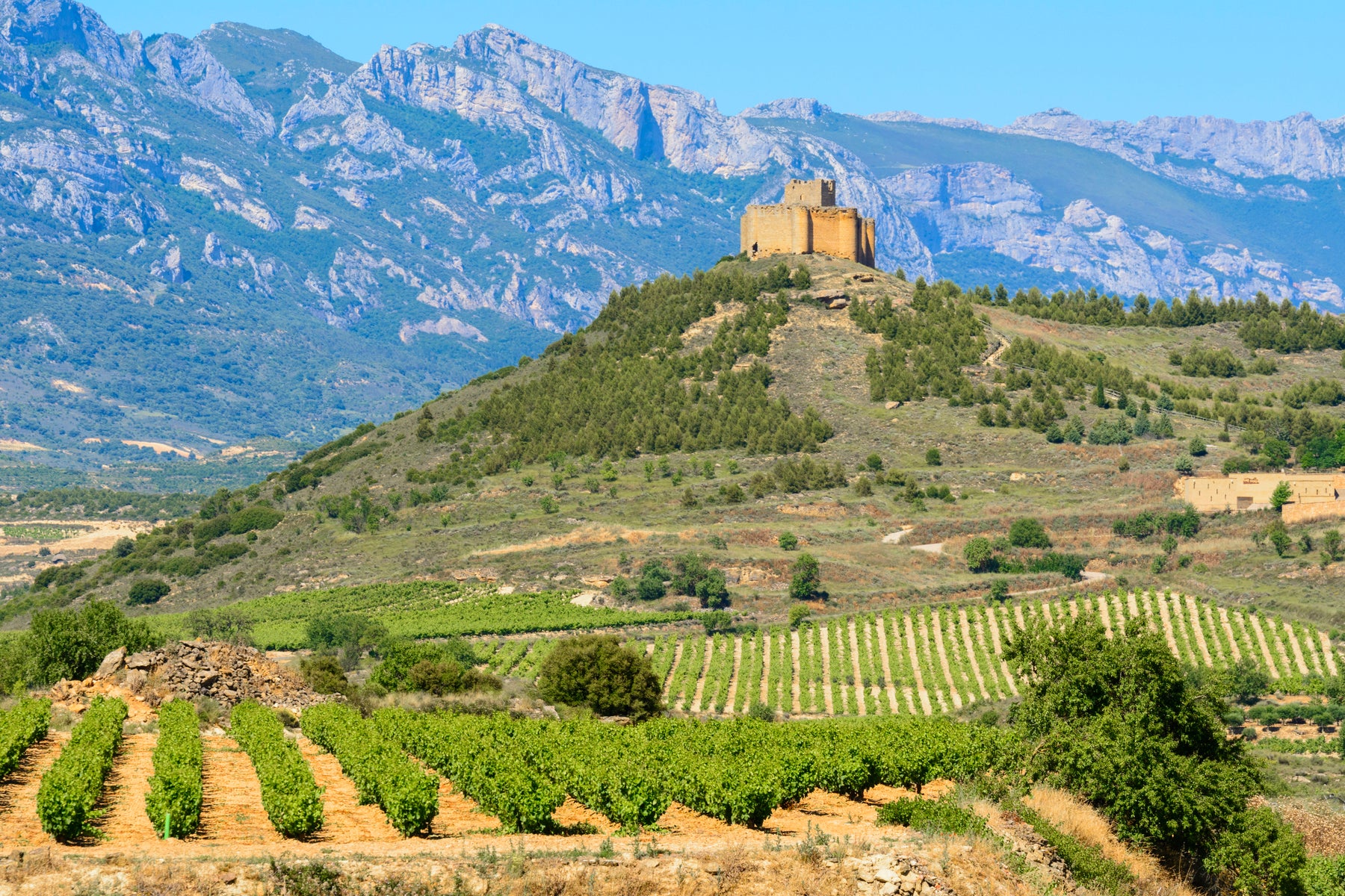 Bodegas Valoria, Rioja, Spanje