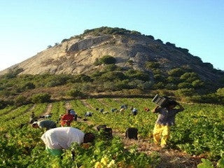 Babylon’s Peak, Swartland, Paardeberg, Zuid-Afrika