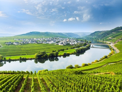 Duitsland; het land van Koninklijke Riesling & Gastronomie