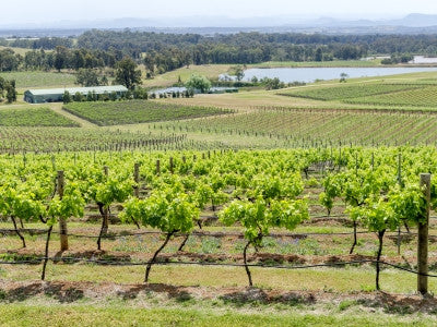 Australië; Flying Winemakers