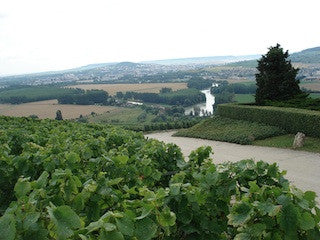 Champagne Hostomme, Épernay, Frankrijk