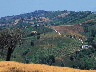 Galatheo, Veneto & Puglia, (Noord & Zuid) Italië