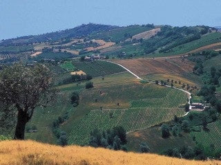 Angelo Cordici, Veneto, Italië