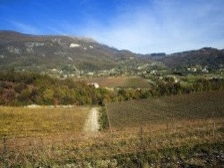 Azienda Monte Zovo, Caprina Veronese, Verona, Italië