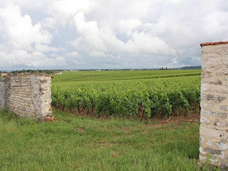 Pierre André, Bourgogne, Frankrijk